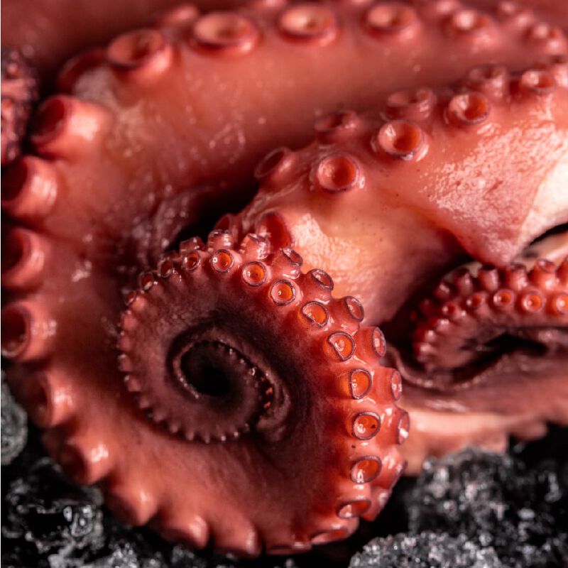PULPO KRAKEN 1 KG - 1.4 KG image number null