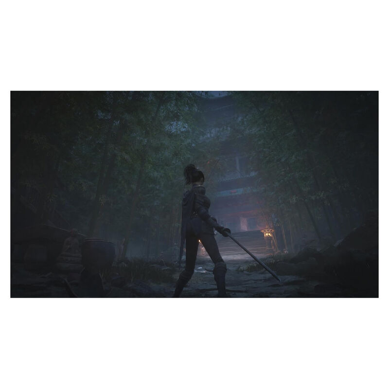 Ps5 Juego Wuchang: Fallen Feathers - Day One Ed... image number null